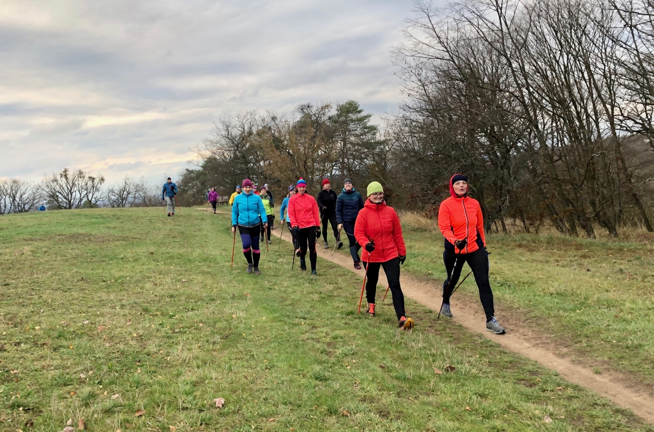 Předposlední listopadový víkend jsem se vydala do Brna na SISU, pravidelný každoroční sraz instruktorů sítě Nordic Walking Point. Jeho hlavním posláním je propojení instruktorů napříč republikou i ročníky, setkávání, vzájemná inspirace i vzdělávání. 