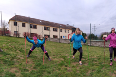 Stretching a Nordic Power