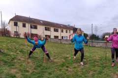 Stretching a Nordic Power
