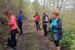 Na okružní cestě kolem Koukolovy hory - pozorujeme a fotíme petrklíče |  Výlet s nordic walking s Nezrezneme.cz - Český kras plný krás I., sobota 8. 5. 2021