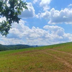 130 let první trasy KČT: Karlštejn-Svatý Jan, 22. 6. 2019