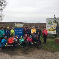 Moderní Nordic Walking v Mikulově, 15. – 17. 11. 2019