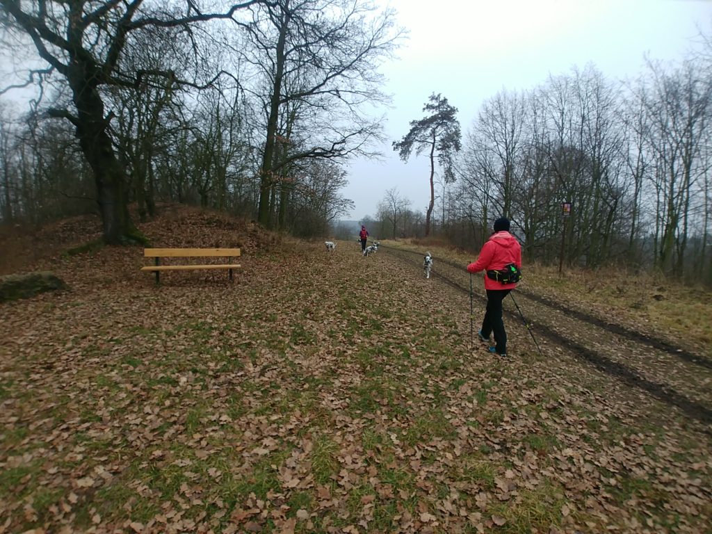 Jste po nemoci koronavirem? Vracejte se do kondice zvolna. Lenka Křivánková, instruktorka nordic walking