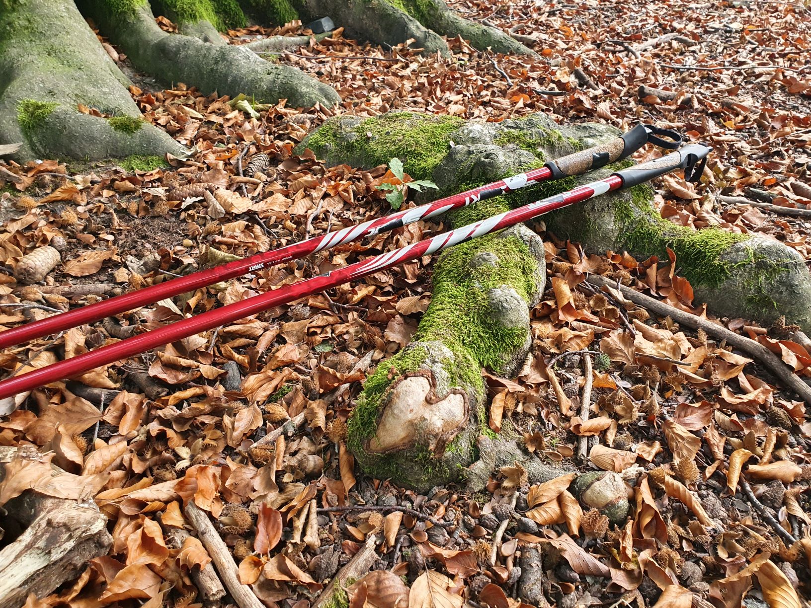 Pohyb venku je naše spojení s přírodou, čerstvý vzduch do plic a volnost... Malé skupinky i individuální lekce #nordicwalking jsou ideální příležitost, jak se scházet a dělat to, co milujeme. Společně. I od středy. ❤ Lenka Křivánková