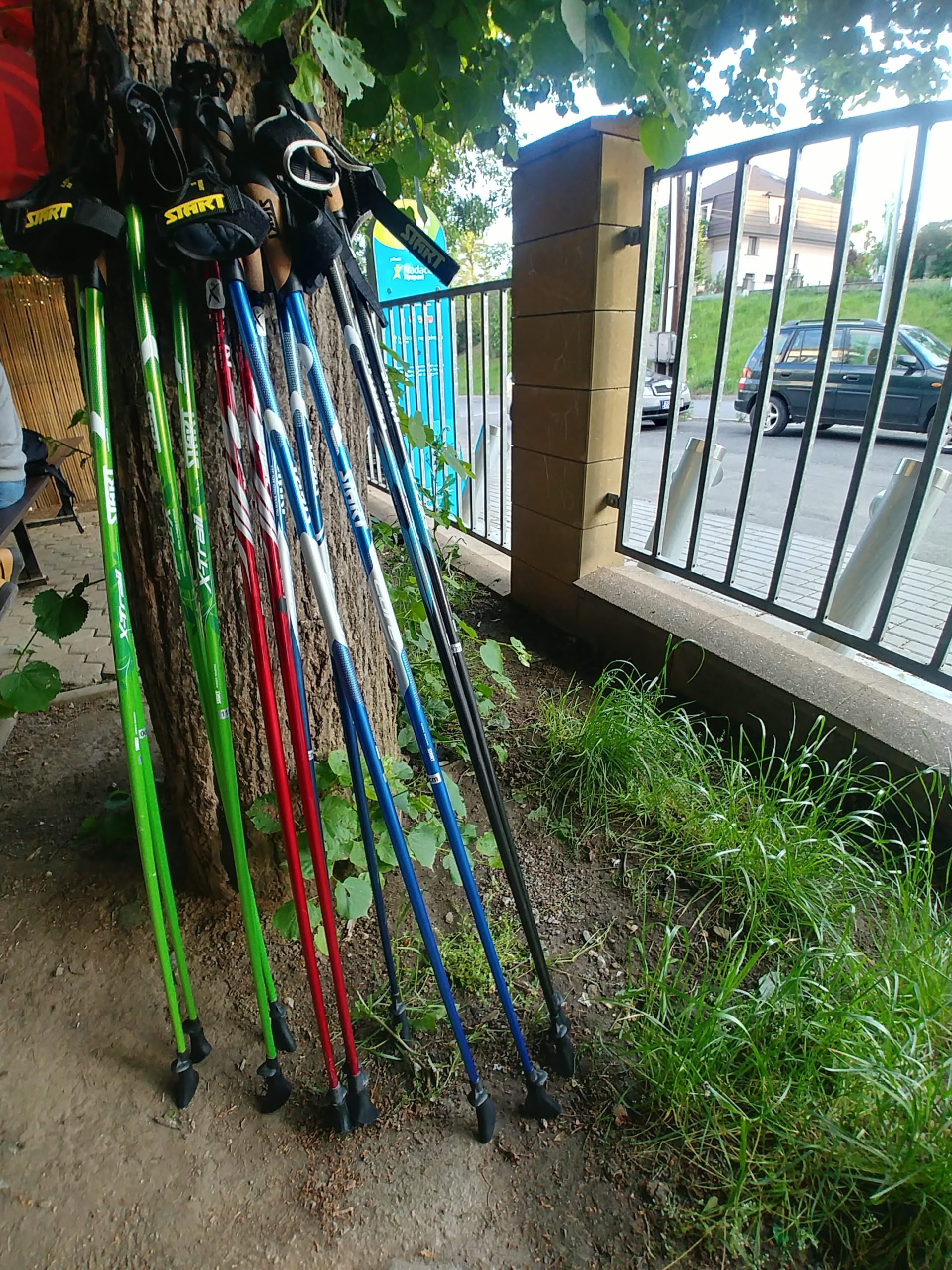 Příspěvek na nordic walking hole pro pojištěnce ZPMV