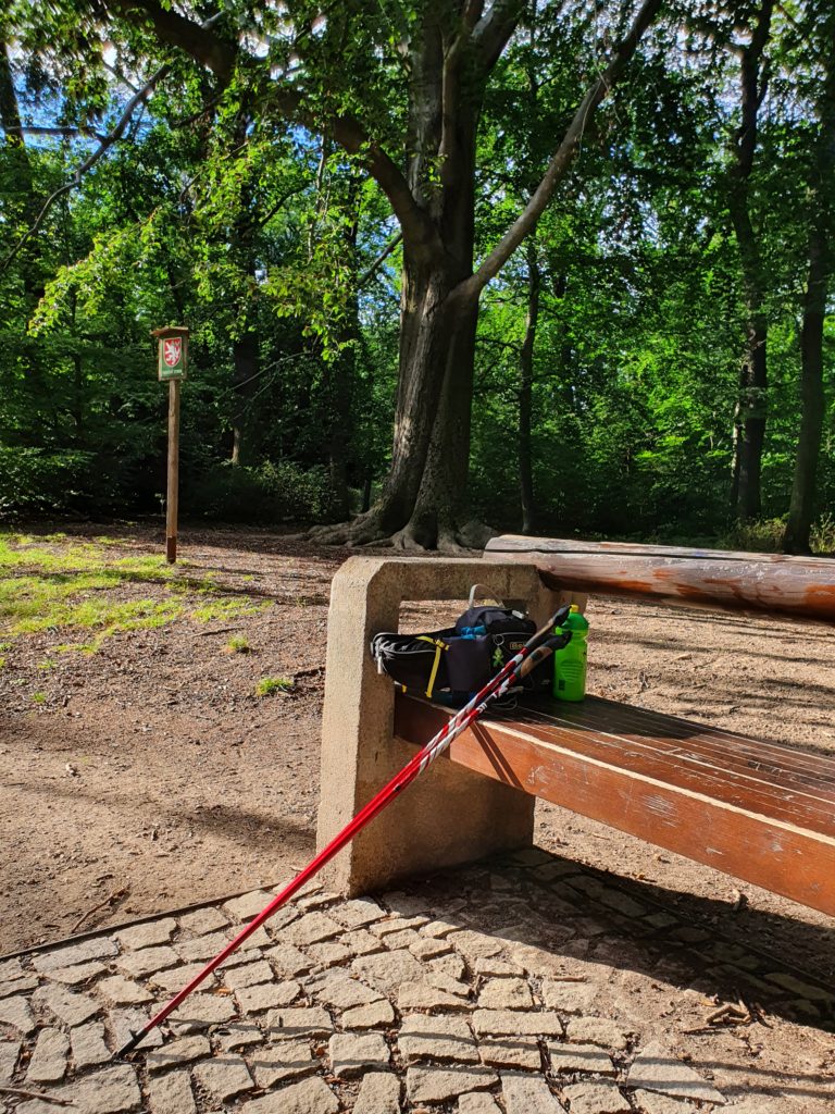 Památný buk a lavička u něj jsou skvělým orientačním bodem za branou na Vypich - setkávám se tu s účastníky svých kurzů a lekcí nordic walking v Oboře Hvězda. Lenka Křivánková, Nezrezneme.cz