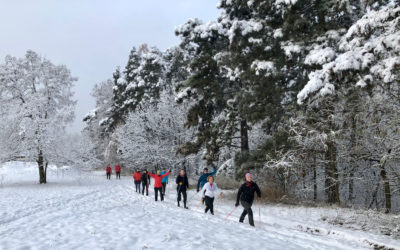 SISU 2021, sraz instruktorů Nordic Walking Point, 26. – 28. 11.