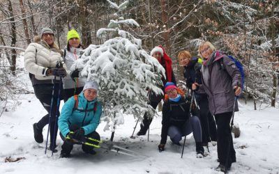 Zápisky: Adventní výšlap (Hvíždinec, Skalka), 4. 12. 2021