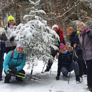 Adventní výšlap (Hvíždinec, Skalka), 4. 12. 2021