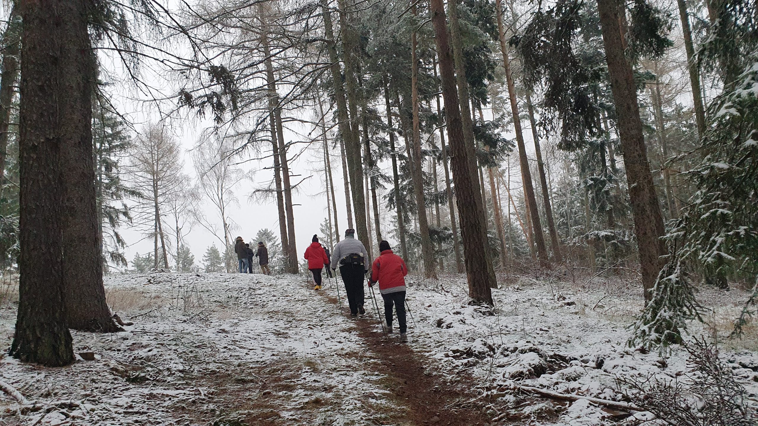 Aprílový Základní kurz Nordic walking v Podlesí u Příbrami. Takový krásný jarní den, že? :)