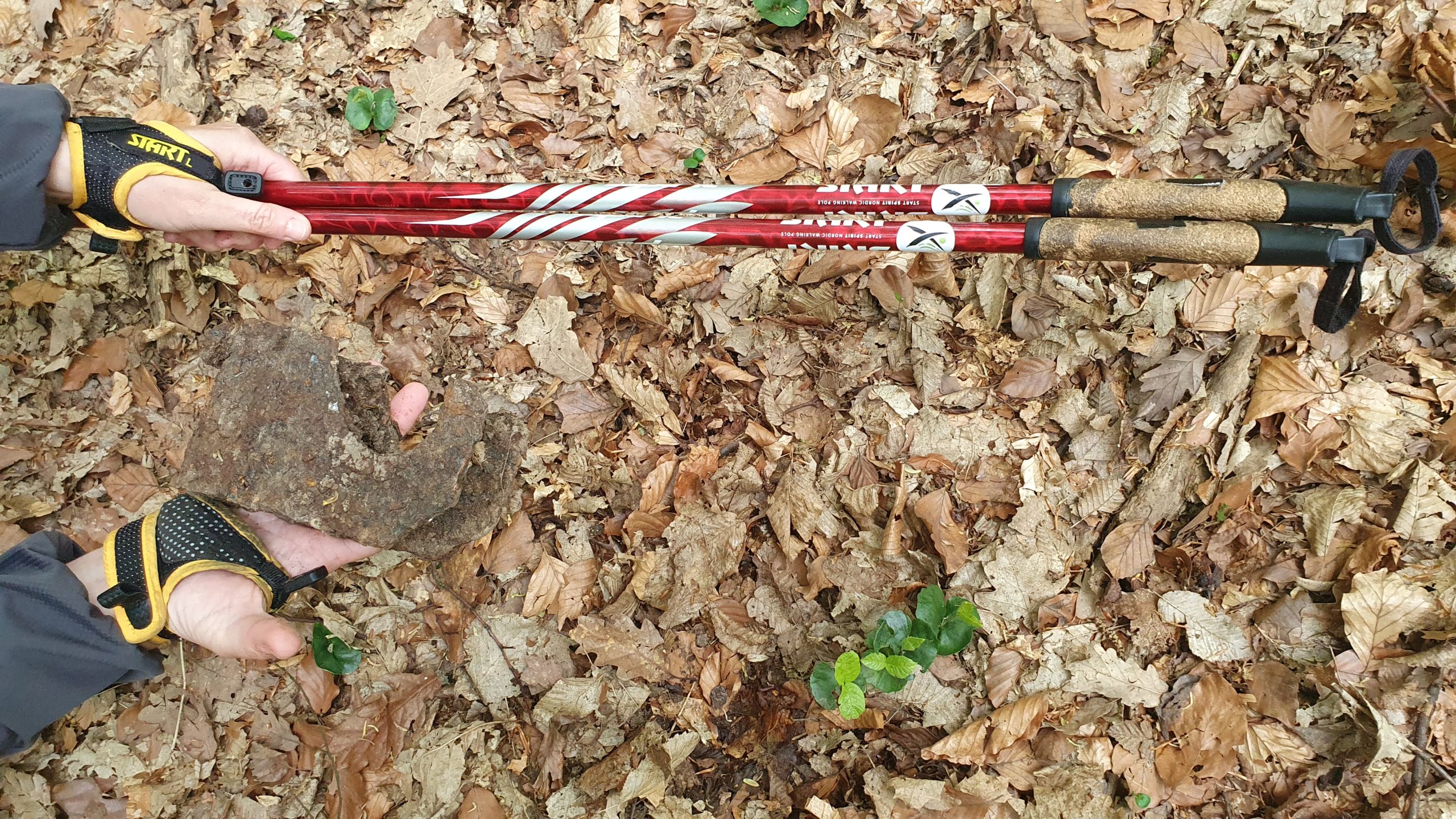 Necháte svoje tělo zreznout? Nebo dáte šanci nordic walking? Zapojíte celé tělo, zapracujete na kondici a objevíte radost z pohybu. Necháte svoje tělo zreznout? Nebo dáte šanci nordic walking? Zapojíte celé tělo, zapracujete na kondici a objevíte radost z pohybu.