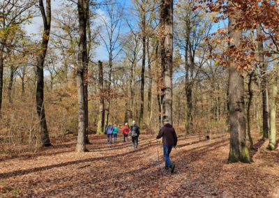 Základní kurz Nordic Walking v Praze 6, Obora Hvězda 5. 11. 2022. Vede instruktorka Lenka Křivánková, Nezrezneme.cz