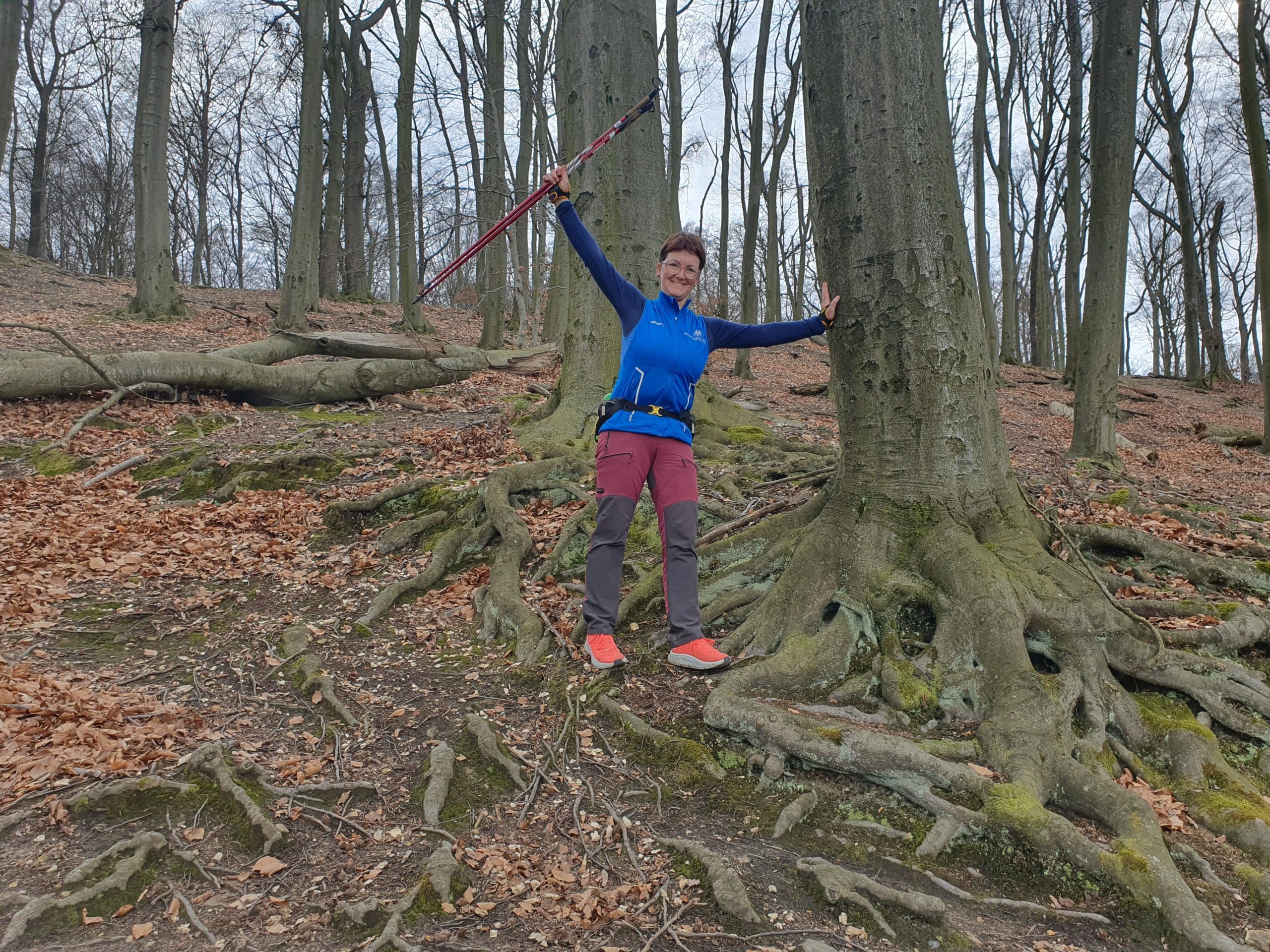 Zastavení během lekce Nordic Walking. Památné buky v Oboře Hvězda. Lenka Křivánková