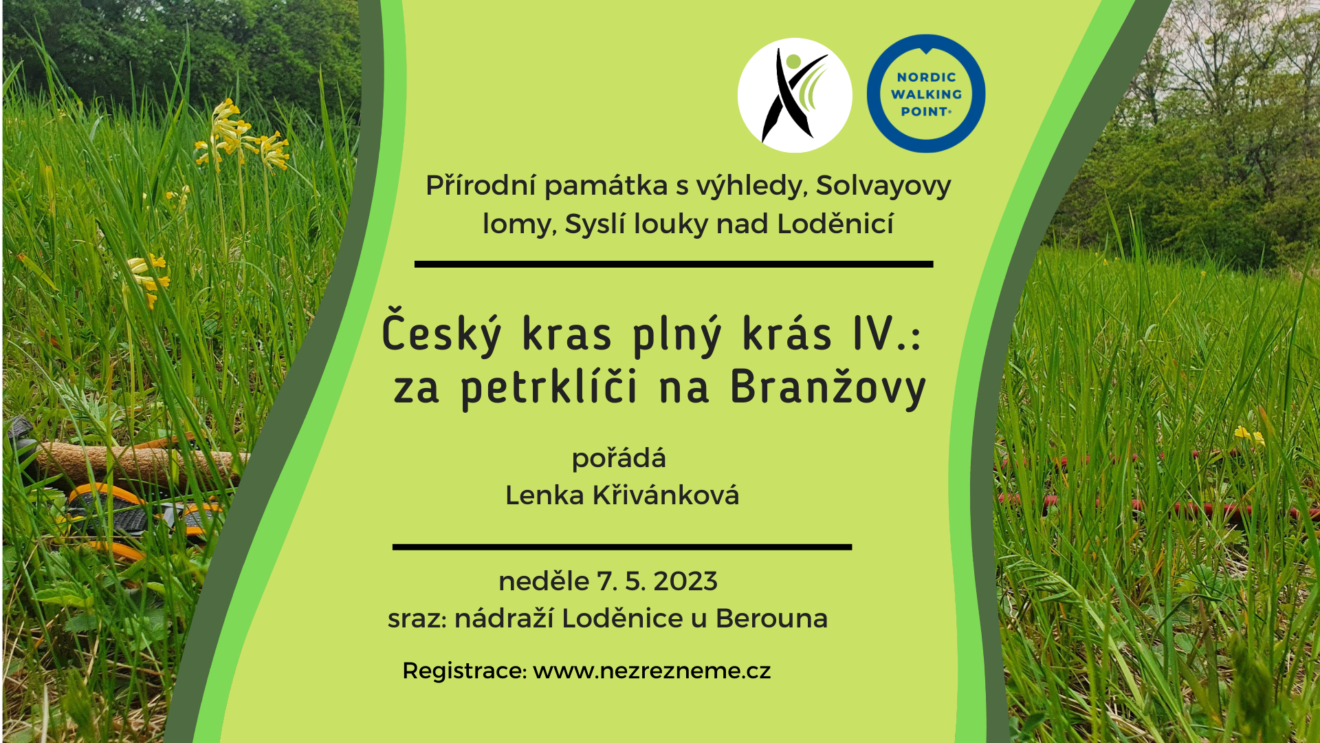 Dopřejte si jedinečný zážitek - výšlap k přírodní památce Branžovy s kobercem rozkvetlých petrklíčů. Vycházíme od nádraží v Loděnici u Berouna. Pořádá Lenka Křivánková, Nezrezneme.cz