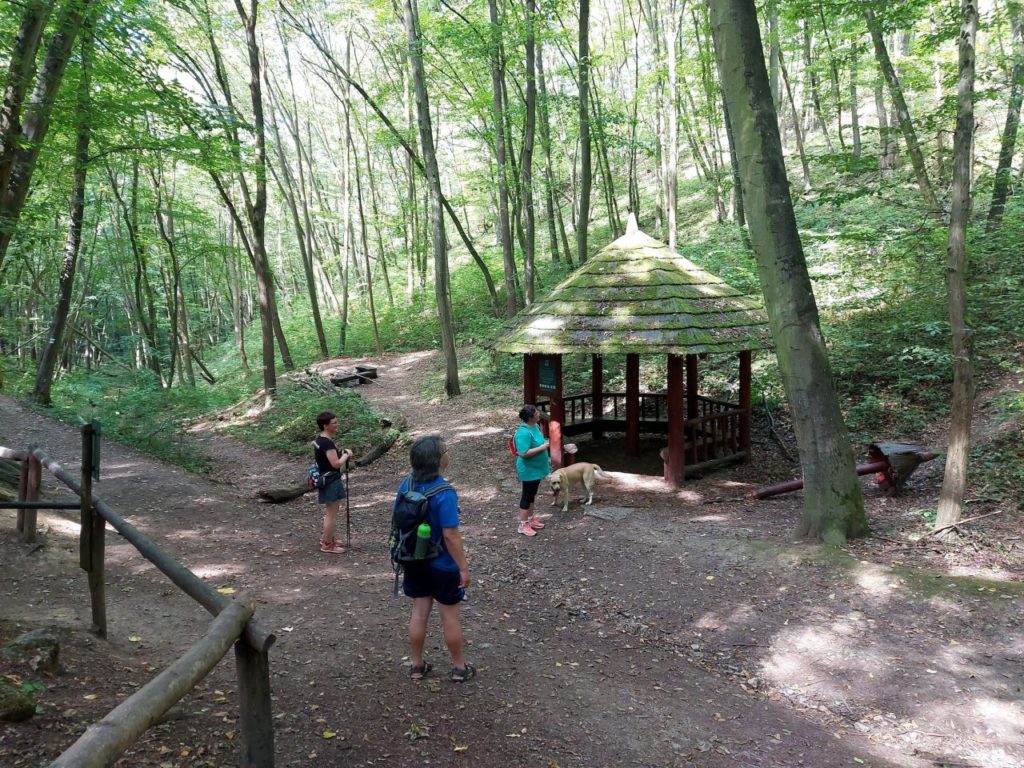 Stín u Jeskyně Arnika na zelené značce směr Hostím. Foto: Jolana Nováková, Český rozhlas | Turistické léto Regionu: Českým krasem z Loděnice do Berouna 19. 8. 2023