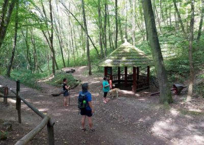 Stín u Jeskyně Arnika na zelené značce směr Hostím. Foto: Jolana Nováková, Český rozhlas | Turistické léto Regionu: Českým krasem z Loděnice do Berouna 19. 8. 2023